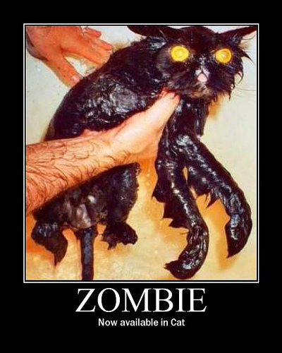 Name:  zombie-cat2.jpg
Views: 1008
Size:  88.5 KB