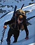 Name:  alpine_hunter.jpg
Views: 570
Size:  34.9 KB