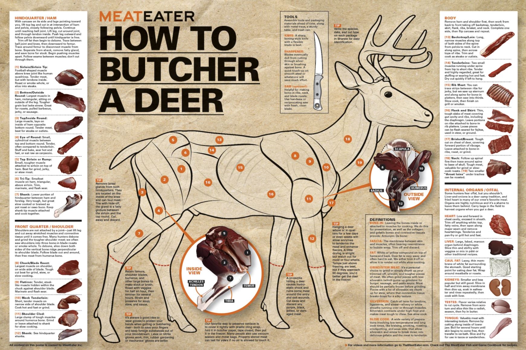 Name:  Deer meat cut chart.JPG
Views: 249
Size:  469.3 KB