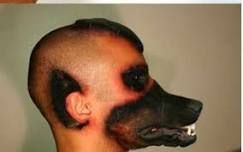 Name:  dogs nose.jpg
Views: 122
Size:  4.9 KB