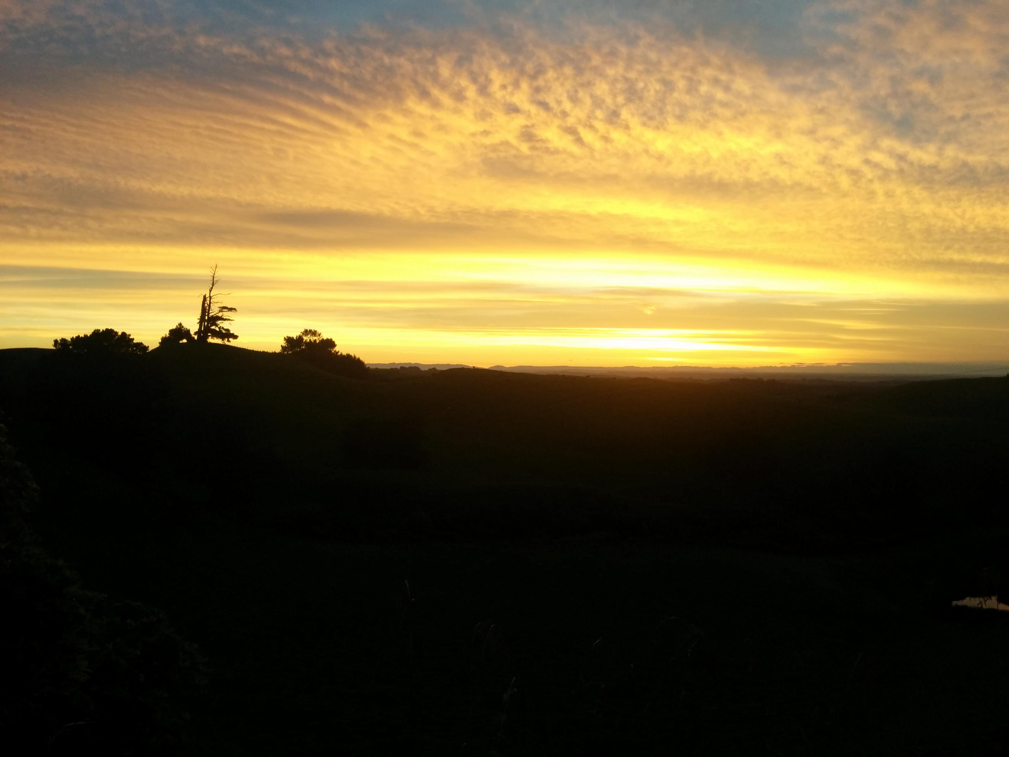 Name:  Wanganui-sunrise.jpg
Views: 518
Size:  303.8 KB