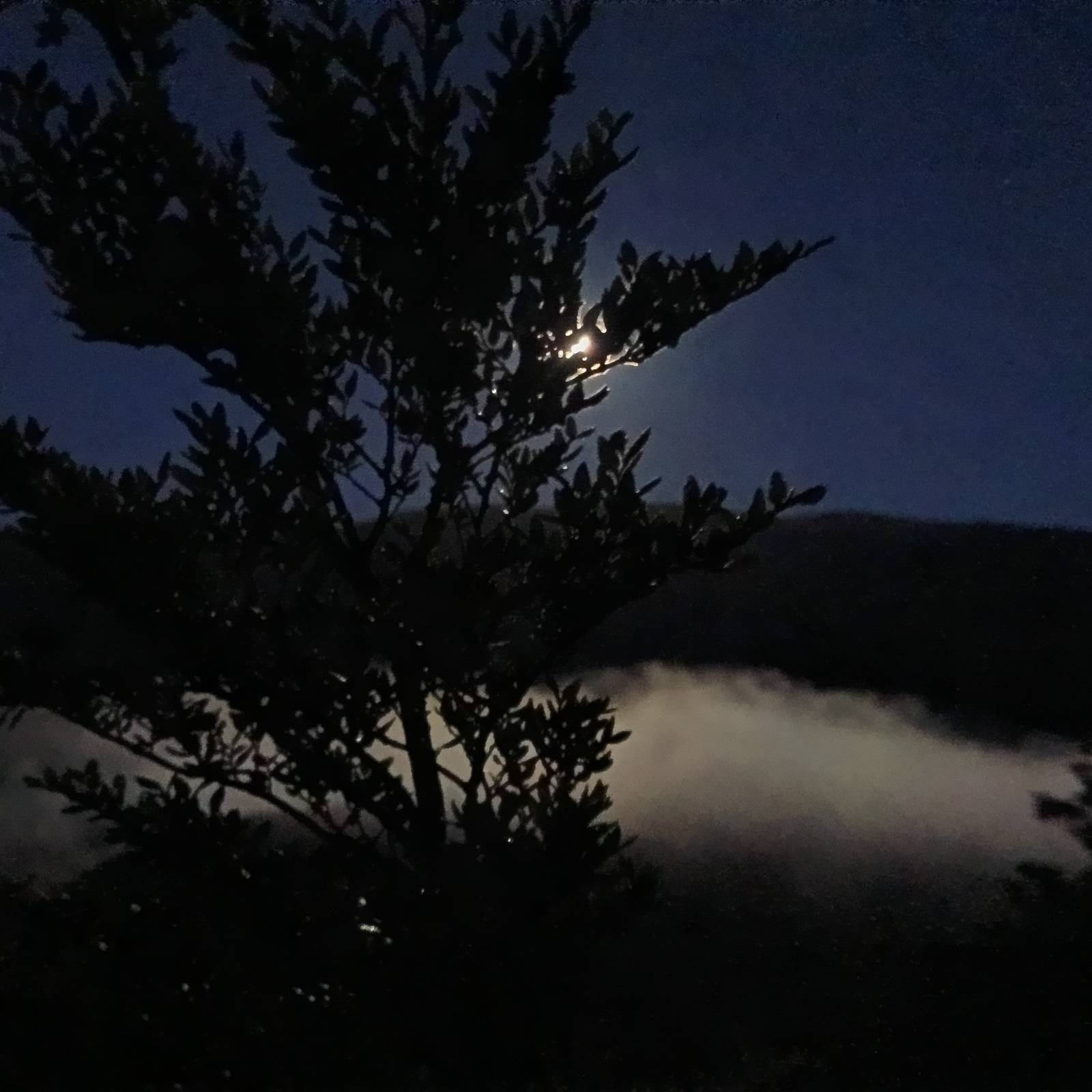 Name:  MoonAboveFog-TripReport2.jpeg
Views: 386
Size:  133.7 KB