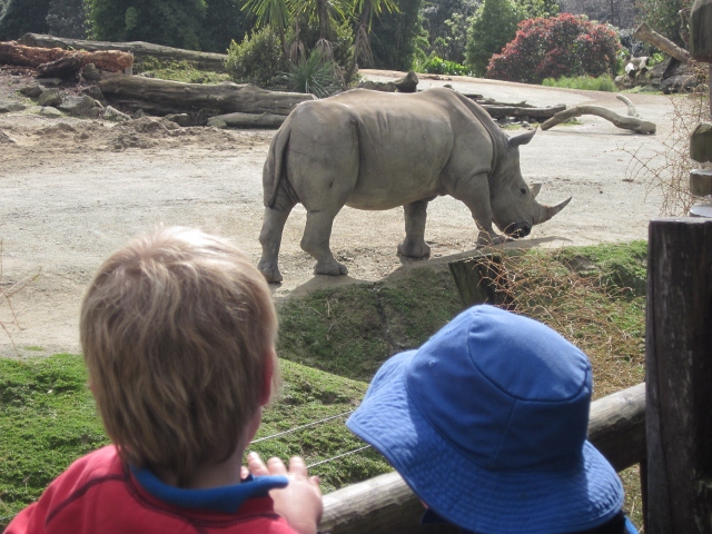 Name:  Kids @ Zoo (640x480).jpg
Views: 1074
Size:  235.2 KB