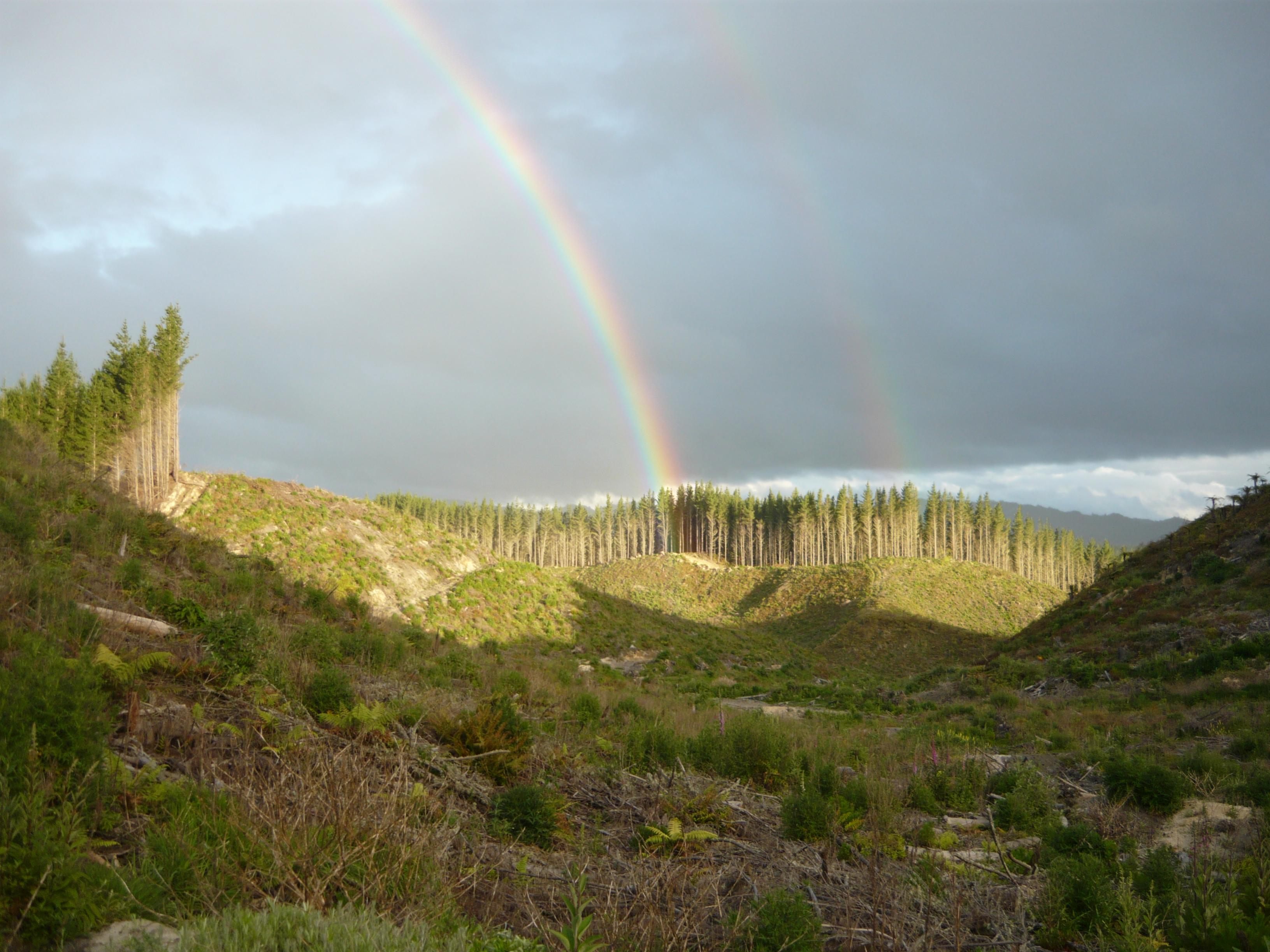 Name:  Double Rainbow Matahina.jpg
Views: 232
Size:  693.8 KB