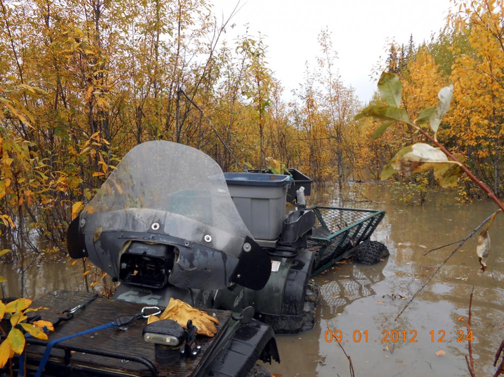 Name:  moose camp submerged c.jpg
Views: 414
Size:  157.4 KB