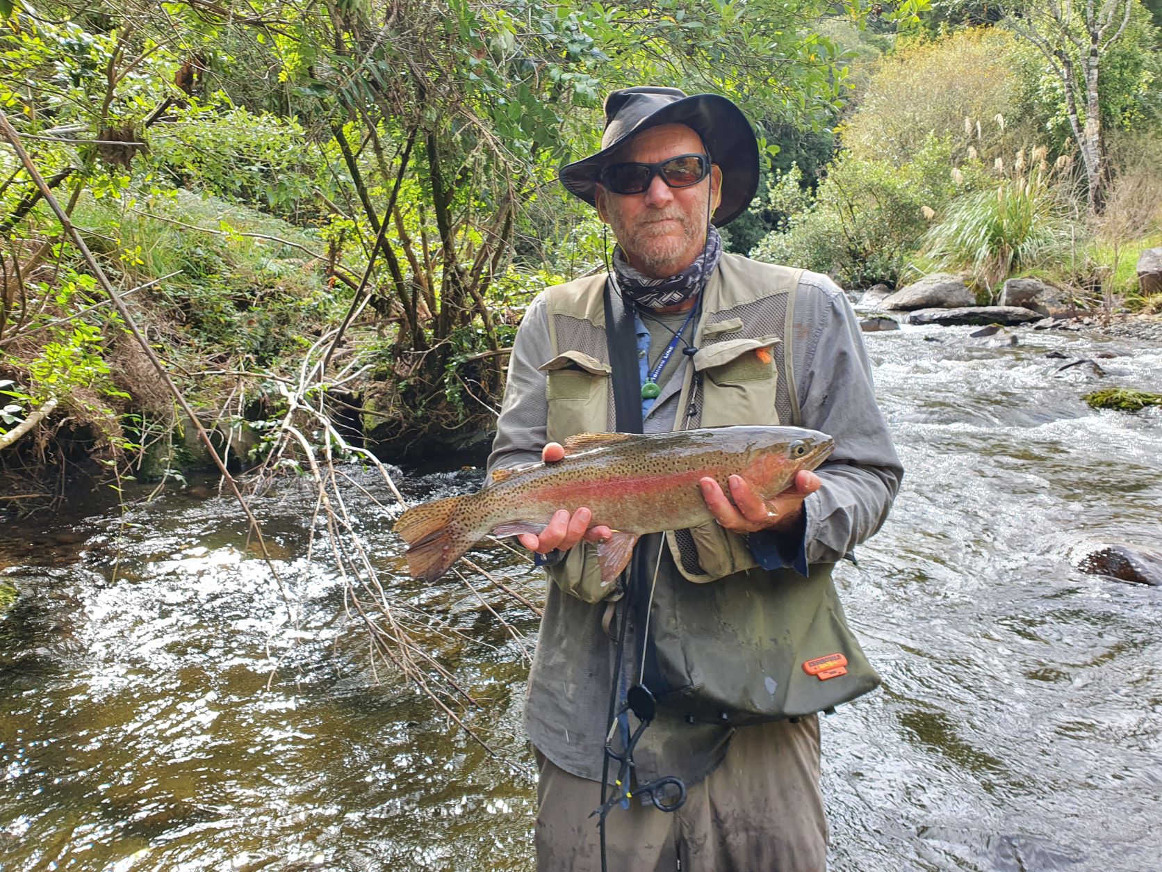 Name:  trout on.jpg
Views: 116
Size:  642.3 KB
