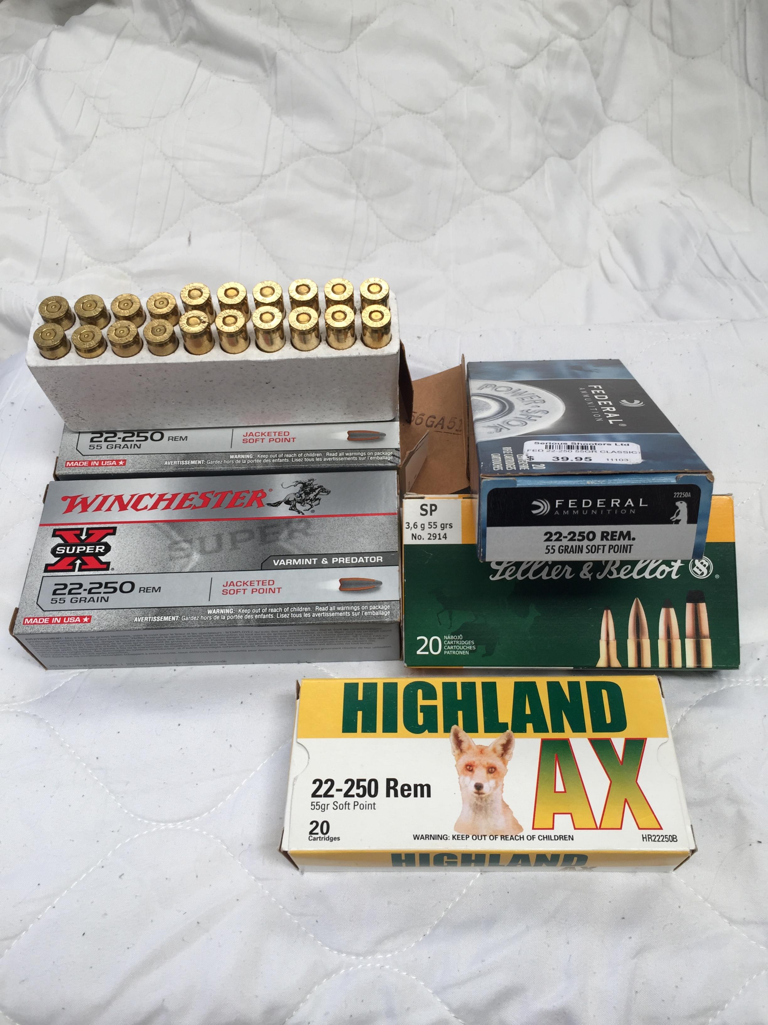 Name:  22 250 ammo.jpg
Views: 1149
Size:  719.1 KB